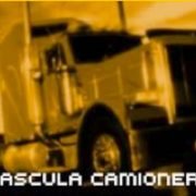 ALTASoft Báscula Camionera