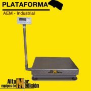 Plataforma Bascula de Piso Industrial